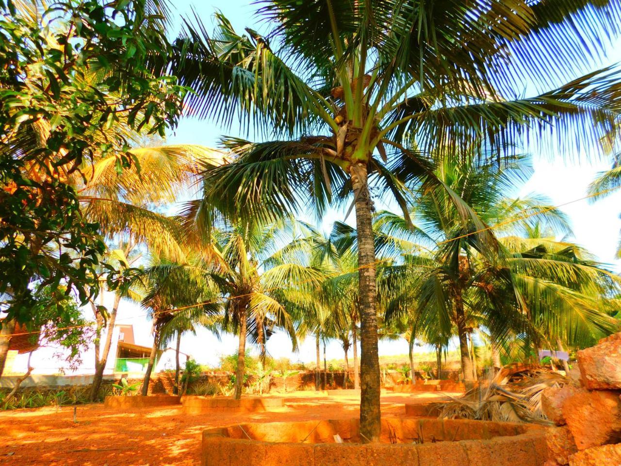 Coconut Tree Resort Gokarna Gokarna  Exterior foto